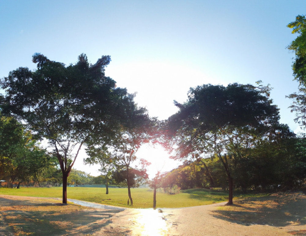 a special zone in the park