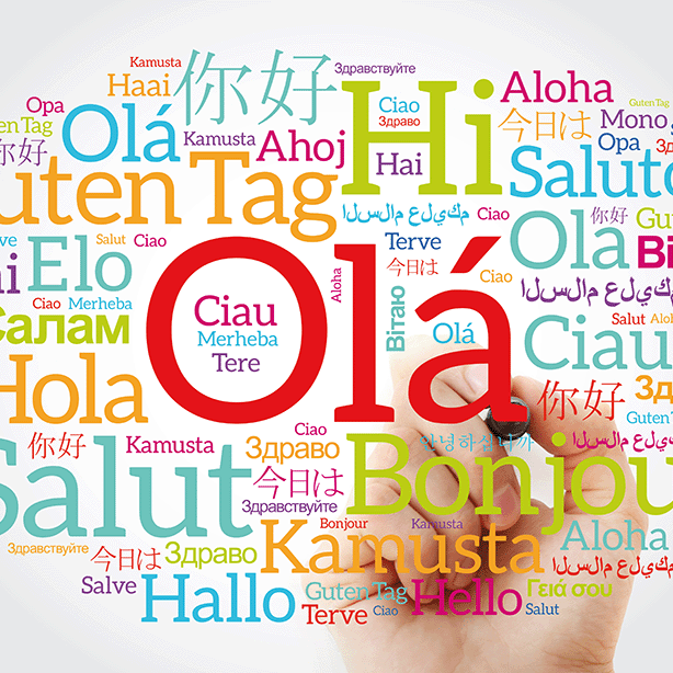 5 definitions of language